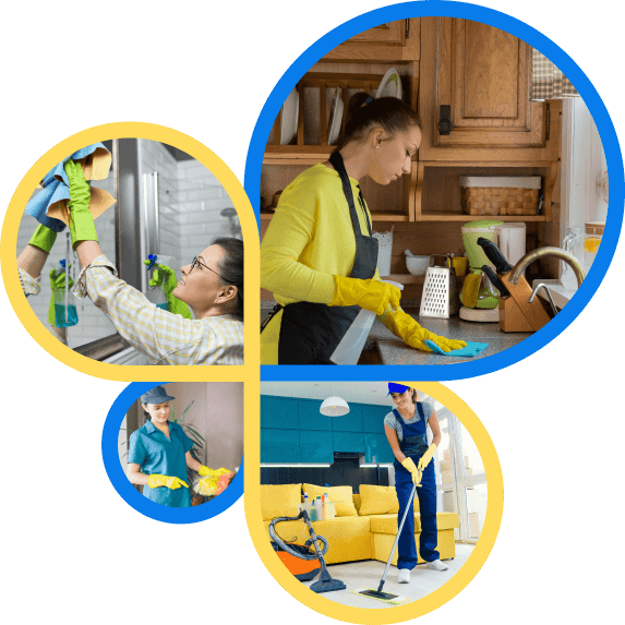 Cleaning and Laundry illustration